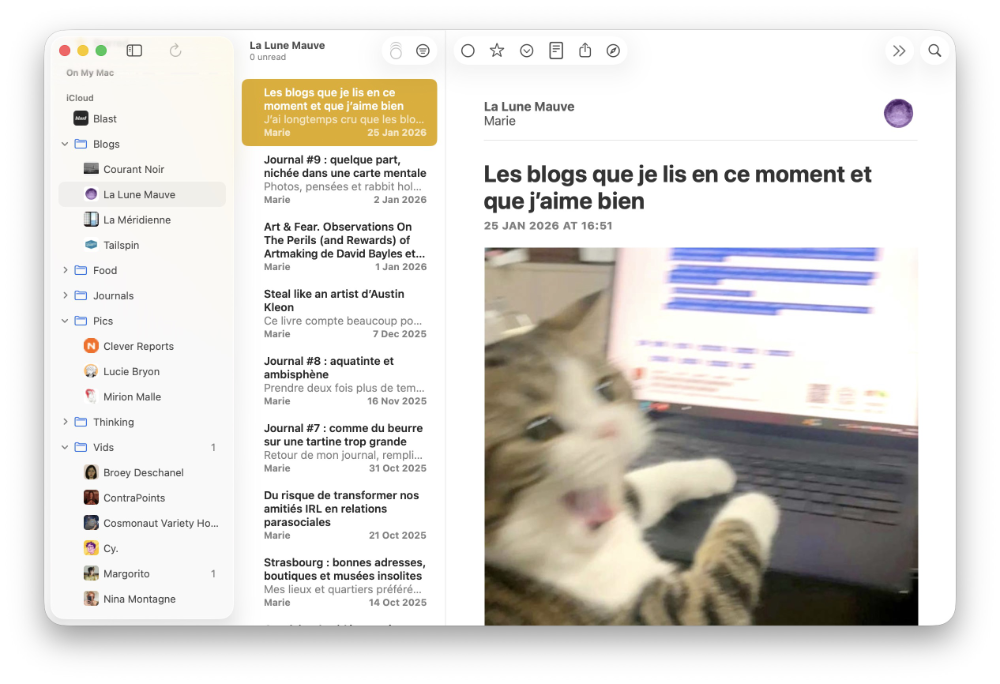 Capture d'écran de mon NetNewsWire